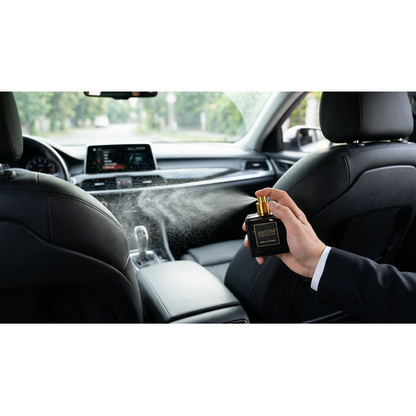 Areon Car Perfume 50ml - Gold